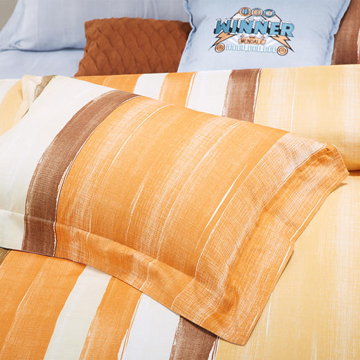 梦洁  纯棉磨毛四件套 班德尔 商品图2