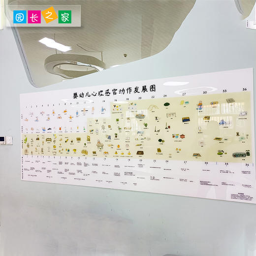 婴幼儿心理感官动作发展图 商品图2