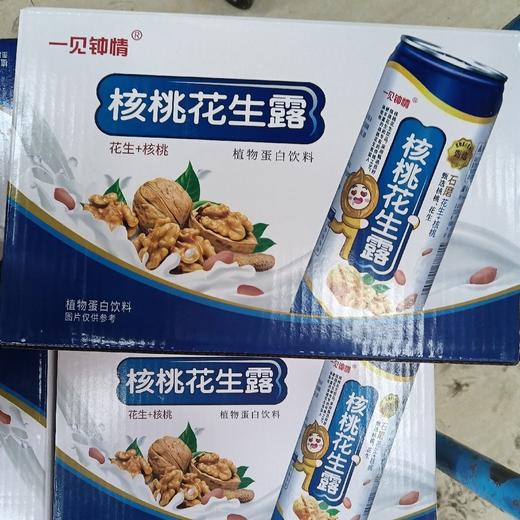 一见钟情核桃花生露240ml*16罐 商品图0