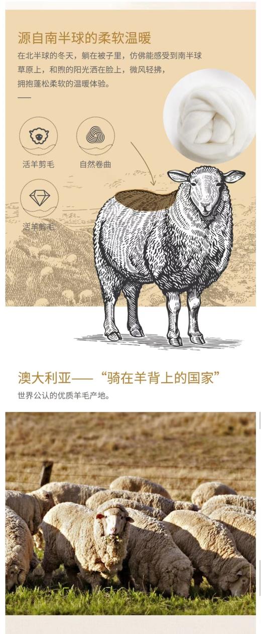 梦洁 优雅羊毛厚被羊毛被 商品图2
