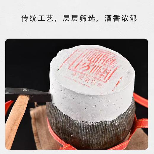 雅浦酒坊米香型酒白酒1坛2.5L52度2010冬酿 商品图1