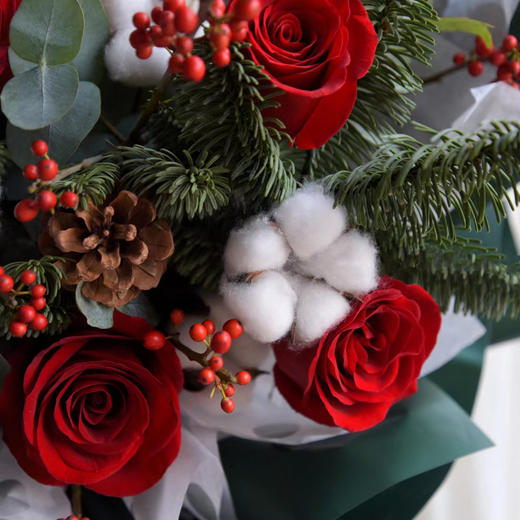 圣诞快乐 商品图2