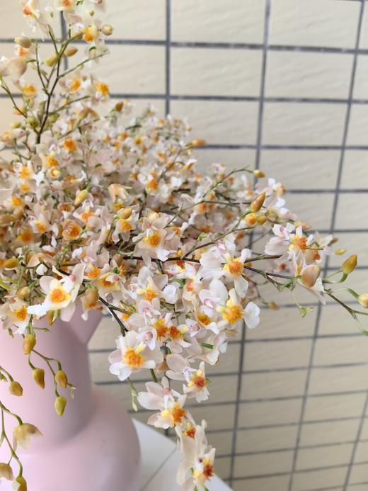 精品鲜花梦香兰鲜切花1扎 商品图2