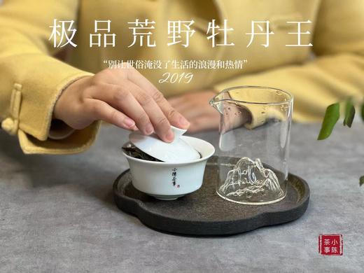 被时间耽误的“荒野银针”—2019特级荒野牡丹王花香氤氲，极富春日之娇俏可人 商品图8