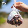 有机鲜板栗 | 合作生产*Organic Fresh chestnut | Coprodution 商品缩略图2
