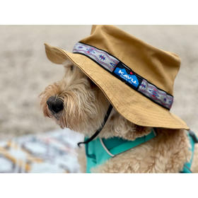 KAVU Organic Strap Bucket-再生棉织带卡车帽