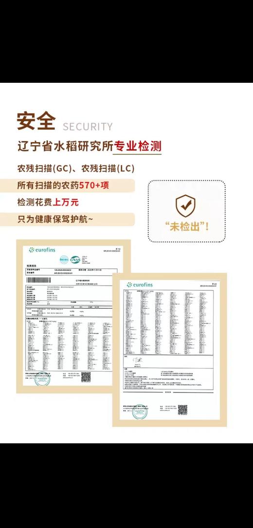 沈农吕文彦教授团队育种软胚芽米5kg/10斤 真空大米 彦粳软玉1号粳米营养粥米 胚芽软米 商品图9