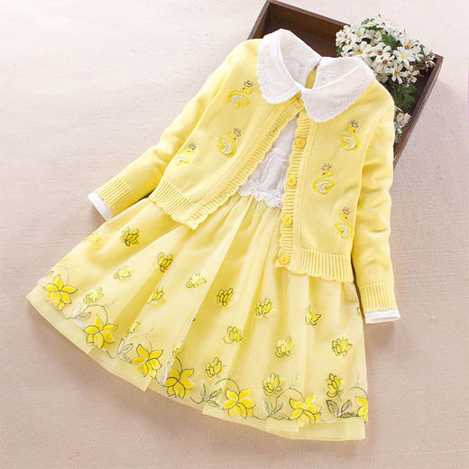 【ALB】女童毛衣套装两件套秋装新款小女孩连衣裙宝宝洋气公主裙代发 商品图3