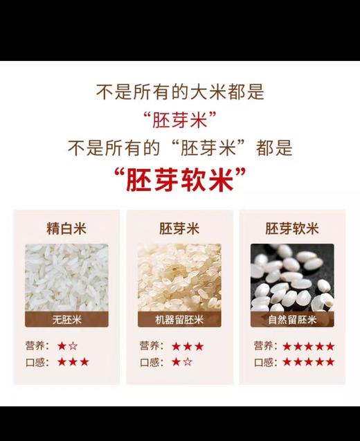 沈农吕文彦教授团队育种软胚芽米5kg/10斤 真空大米 彦粳软玉1号粳米营养粥米 胚芽软米 商品图7