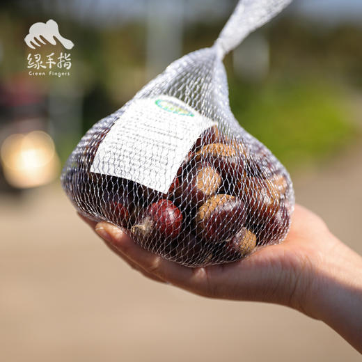 有机鲜板栗 | 合作生产*Organic Fresh chestnut | Coprodution 商品图5