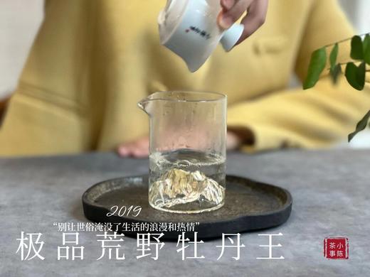 被时间耽误的“荒野银针”—2019特级荒野牡丹王花香氤氲，极富春日之娇俏可人 商品图10