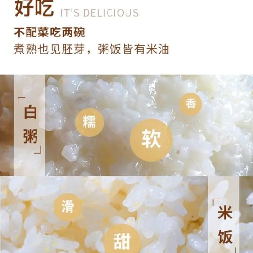 沈农吕文彦教授团队胚芽软米500g营养谷物粥米搭配婴幼儿童辅食 商品图4