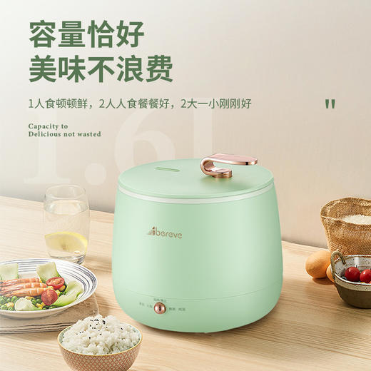 艾贝丽/多功能电饭锅 ABL-DFB16 商品图1