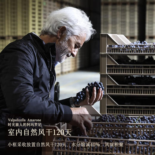 【阿玛罗尼DOCG】安蒂特莱酒庄阿玛罗尼红葡萄酒 意大利原瓶进口 15%vol 商品图5