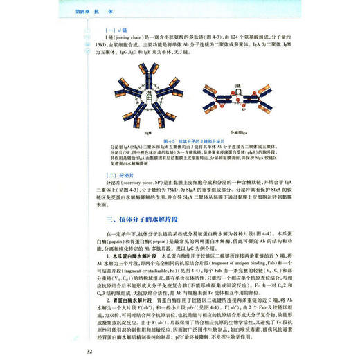 无货已下架 医学免疫学 全国高等学校应用型创新规划教材 供基础临床口腔医学类等医学相关专业用 徐雯 刘永琦 人民卫生出版社9787117300650 商品图4