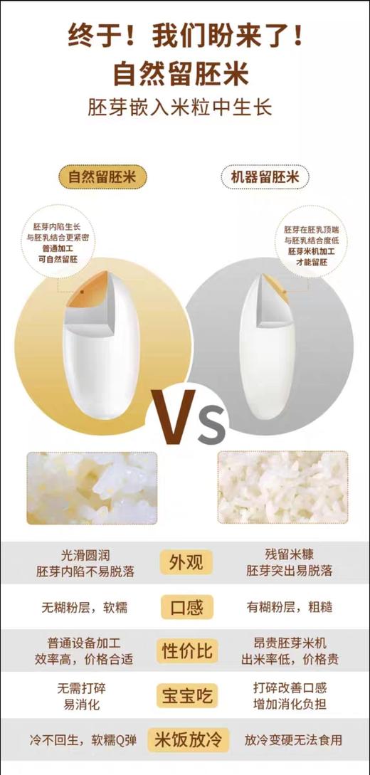 沈农吕文彦教授团队育种 全胚芽黑米香软易熟易煮免浸泡500g营养搭配 软香黑米 胚芽软米 沈阳农业大学 商品图1