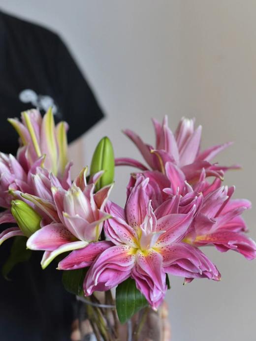 【AB级红美人重瓣百合】单头10支10朵/份 商品图11