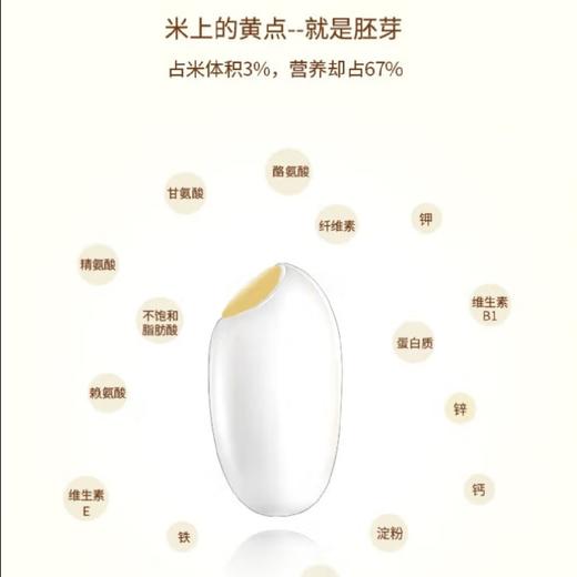 沈农吕文彦教授团队胚芽软米500g营养谷物粥米搭配婴幼儿童辅食 商品图2