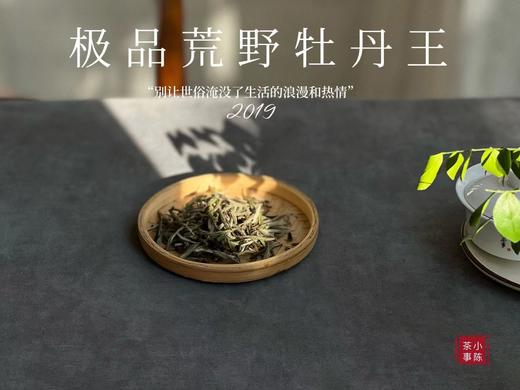 被时间耽误的“荒野银针”—2019特级荒野牡丹王花香氤氲，极富春日之娇俏可人 商品图1