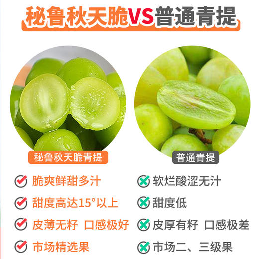 秋天脆 香印青提| 水果 商品图1