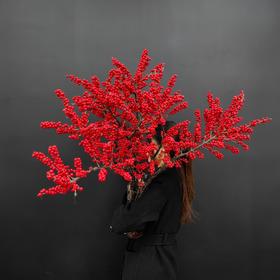 精品A级北美冬青富贵籽多款选择