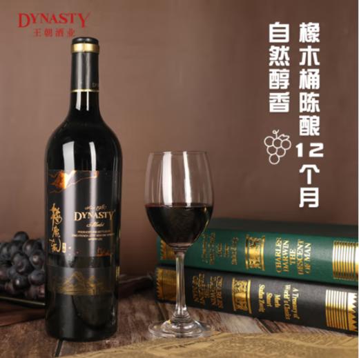 王朝（DYNASTY）梅鹿辄（陈酿）第二代干红葡萄酒 商品图1