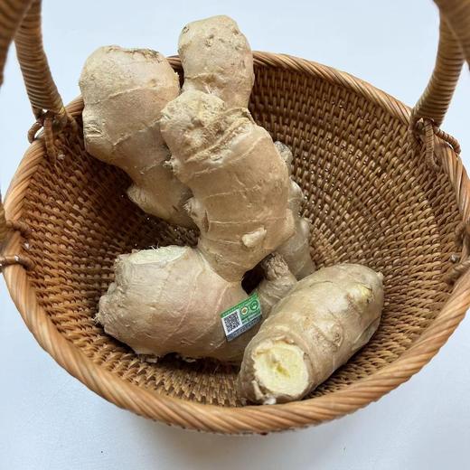 贤妈优选|有机蔬菜有机种植无公害蔬菜 商品图6