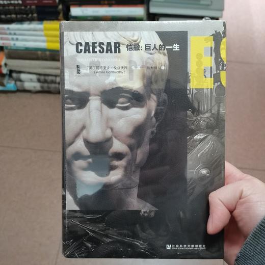 恺撒：巨人的一生 商品图0