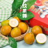 脆蜜金柑 大果 商品缩略图8