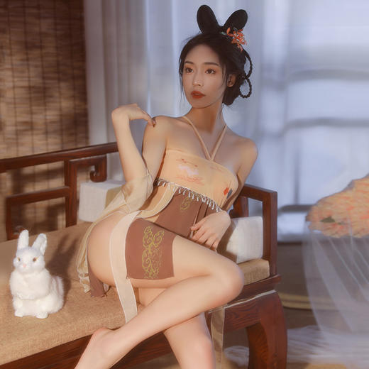 【琵琶情愫】情趣内衣 网纱 百褶裙 套装 制服 衬衫 女士 内裤 丝袜 袜子 型号:6881 商品图0