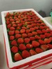 本地红颜草莓一箱五斤 商品缩略图0