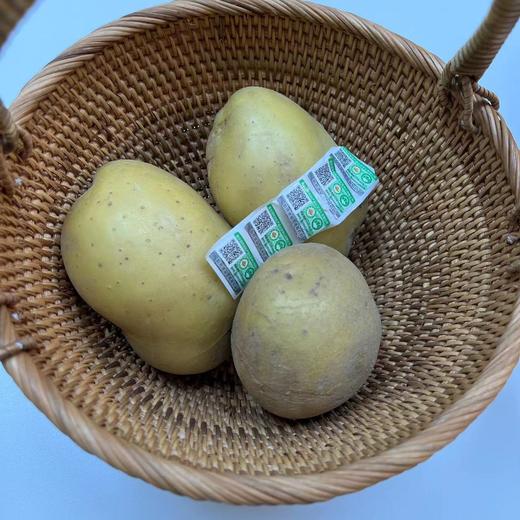 贤妈优选|有机蔬菜有机种植无公害蔬菜 商品图2