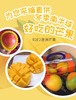 澳洲R2E2芒果礼盒装澳洲鲜果 果园直发顺丰冷链包邮 商品缩略图3