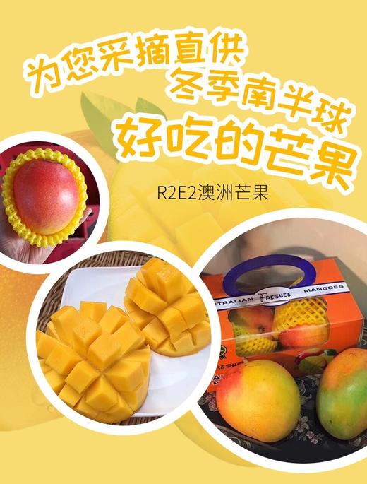 澳洲R2E2芒果礼盒装澳洲鲜果 果园直发顺丰冷链包邮 商品图3