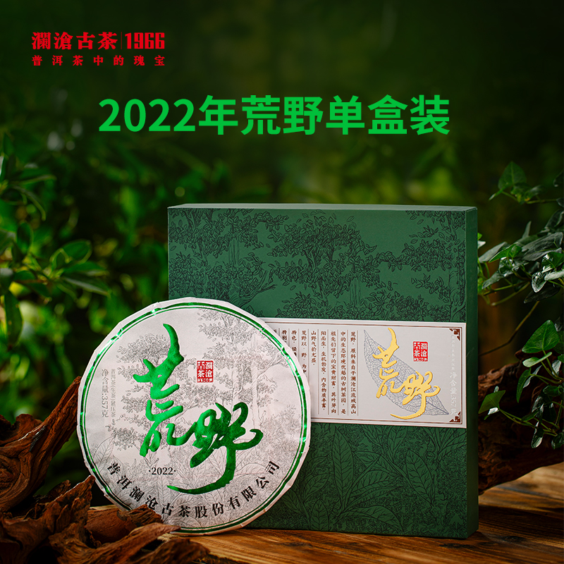 澜沧古茶2022年荒野大饼生茶普洱茶云南茶叶野放老树