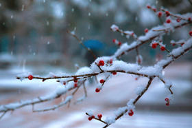 三九天丨扶阳驱病邪，提升免疫力，就要这样贴！