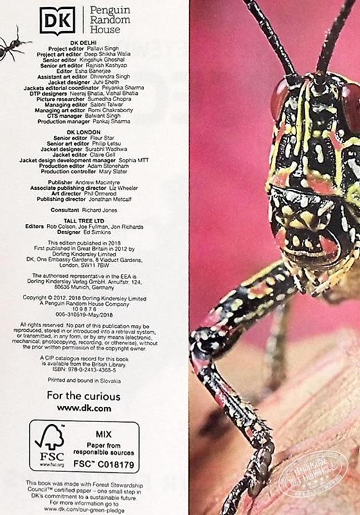 【中商原版】DK目击者口袋系列 昆虫	Pocket Eyewitness Insects	DK 英文原版 昆虫百科 商品图5