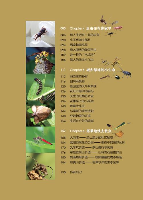 都市昆虫记(自然观察丛书) 商品图2