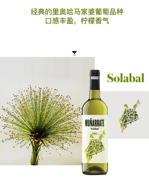 【海马刀】木莱特干白葡萄酒-西班牙原瓶原装进口-750ml*2支装 商品图1