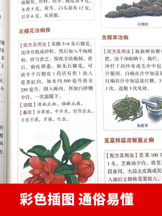 【9.9元包邮】【正版包邮】彩色图解偏方大全 针对医学8大科目症状验方 中药方中医临床诊断中医处方集中医诊断学中医课程速记畅销书籍 商品图4