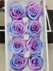 【永生玫瑰】永生花型 8朵/盒 约5公分 多款可选 商品缩略图12