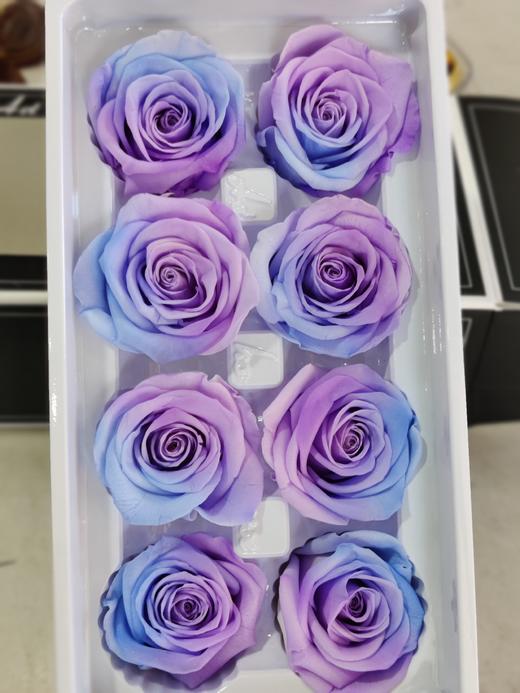【永生玫瑰】永生花型 8朵/盒 约5公分 多款可选 商品图12