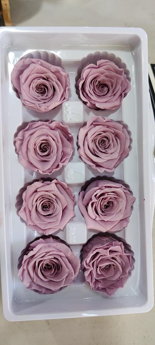 【永生玫瑰】永生花型 8朵/盒 约5公分 多款可选 商品图7
