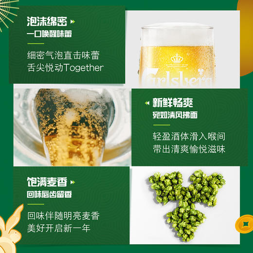 （企微新朋友专享）Carlsberg特醇嘉士伯啤酒500ml*18罐小麦啤酒（新旧包装随机发货） 商品图4