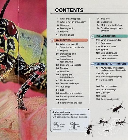 【中商原版】DK目击者口袋系列 昆虫	Pocket Eyewitness Insects	DK 英文原版 昆虫百科 商品图6