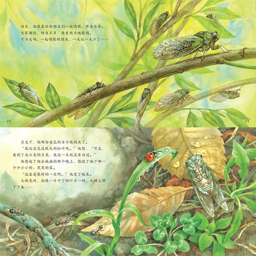 《小羊上山儿童汉语分级读物·第5级》（全10册） 商品图4