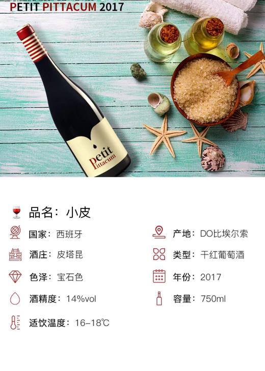 【海马刀】小皮干红葡萄酒-西班牙原瓶原装进口-750mlx2支装 商品图1