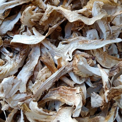 云南野生菌干 | 合作农友生产，产自云南楚雄永仁，生产者：康丽 *【公平贸易农人定价】 商品图9