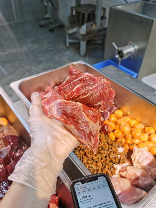 牛肉鸡腿味100克朱迪主食鲜粮猫饭/制熟发货常温保存开袋即食 商品图1