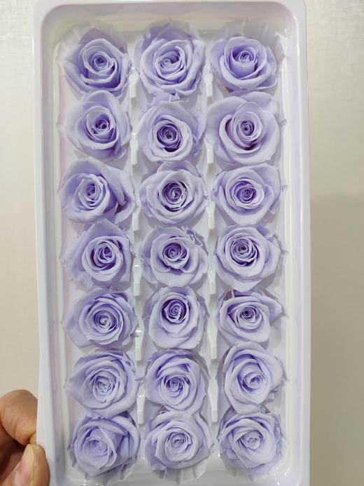 【永生玫瑰】永生花型 多款可选 21朵/盒 约3公分 商品图11